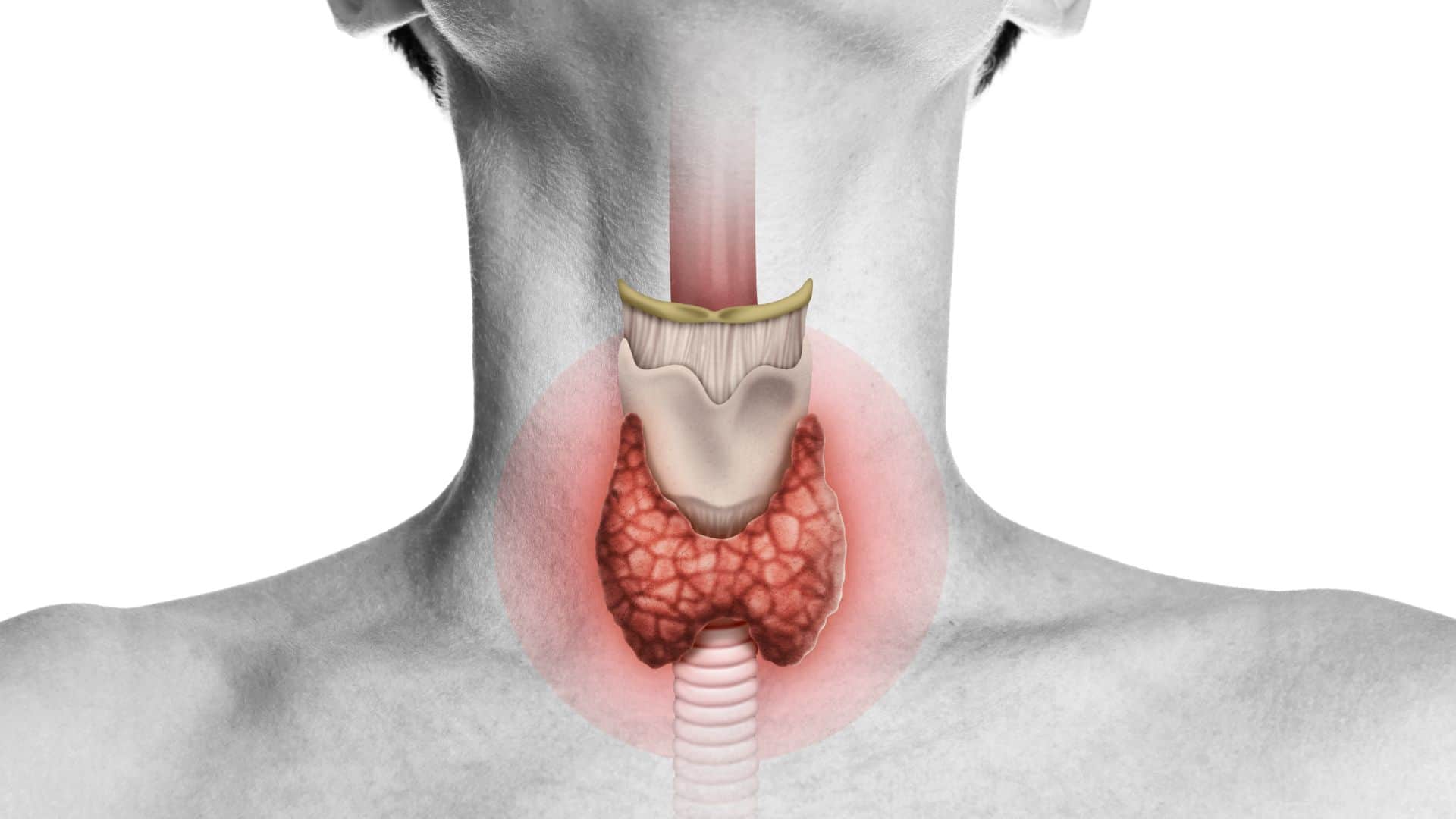 Swollen Throat With These Symptoms Thyroid Sign Health Tips Gale me Sujan ke karan