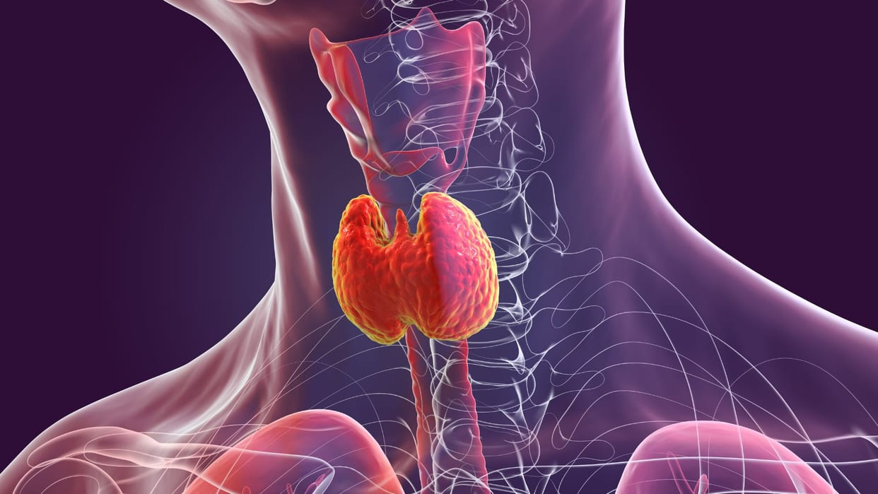 Swollen Throat With These Symptoms Thyroid Sign Health Tips Gale me Sujan ke karan
