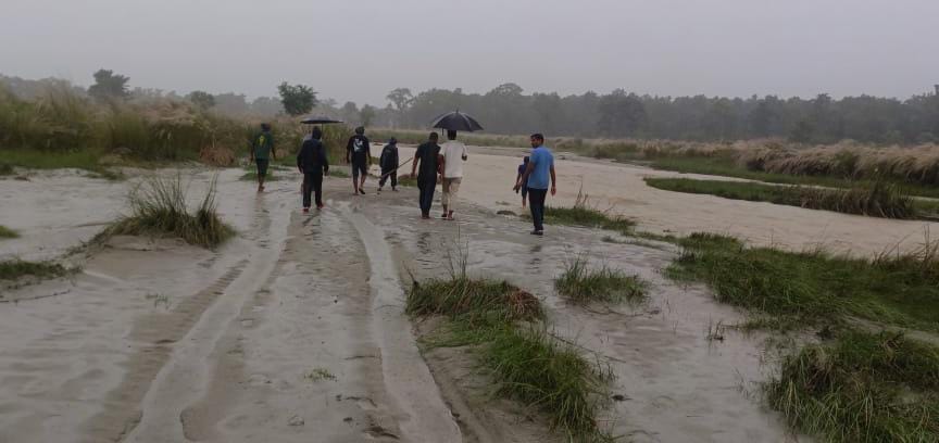 Bihar News: Man-eating tiger kills third youth in Bettiah news In Hindi