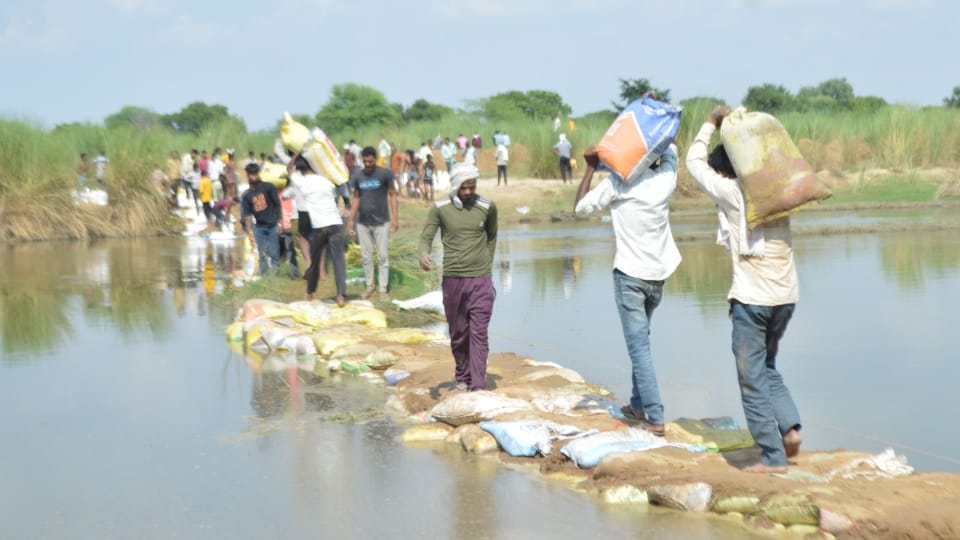 Mud and Rising Sediment Hinder Search for 13 Drowned in Utangan River One Youth Rescued