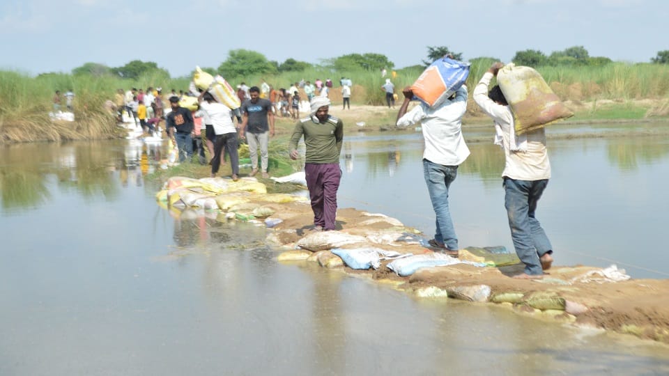 Utangan River Tragedy Third Day of Search But Hope Still Drowns in the Rive