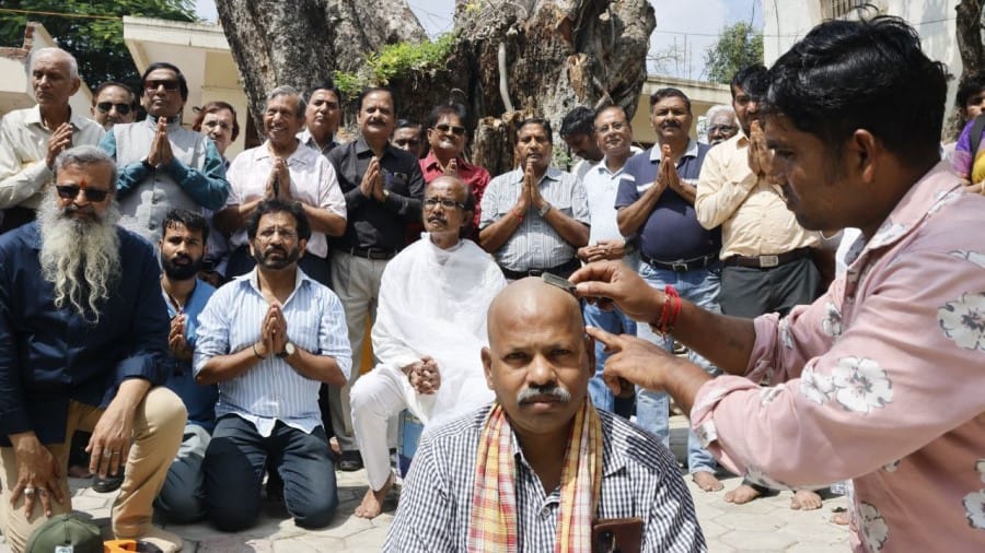 Indore news save tree cutting plantation green cover environmental protest