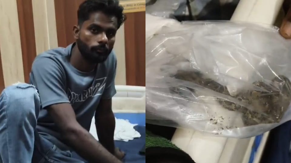 Shamshad carried snake that bit him in polythene bag