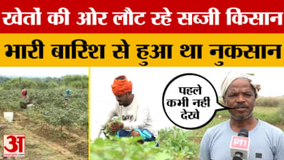 Jharkhand News: Vegetable farmers are returning to their fields with renewed hope, after heavy rains caused si