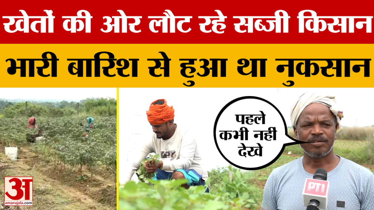 Jharkhand News: नई उम्मीद के साथ खेतों की ओर लौट रहे हैं सब्जी किसान, भारी बारिश से हुआ था काफी नुकस