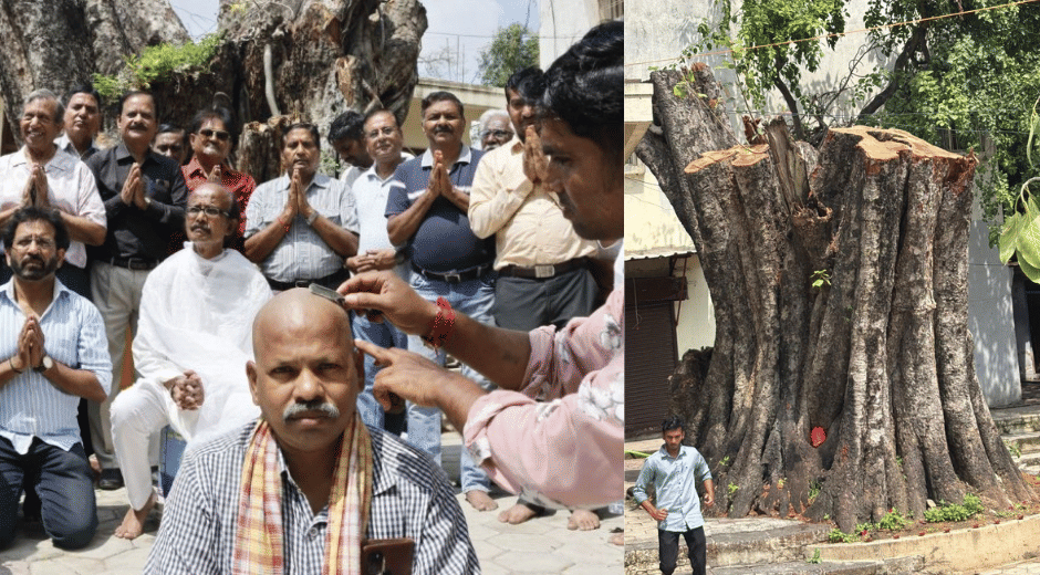 Indore news save tree nature plantation green pollution