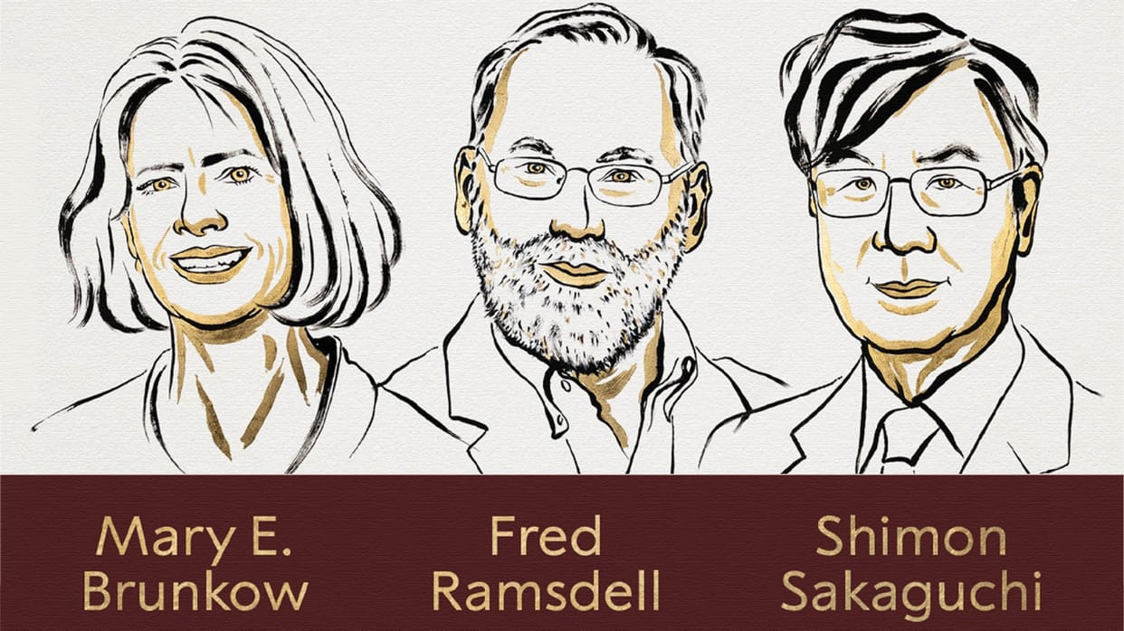 Mary E. Brunkow, Fred Ramsdell and Shimon Sakaguchi are awarded the Nobel Prize in Physiology Medicine 2025