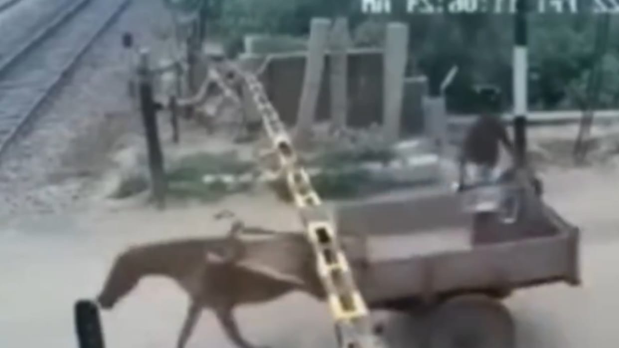 The railway gate was closed people were waiting suddenly a horse drawn Carriage crossed the track video Viral