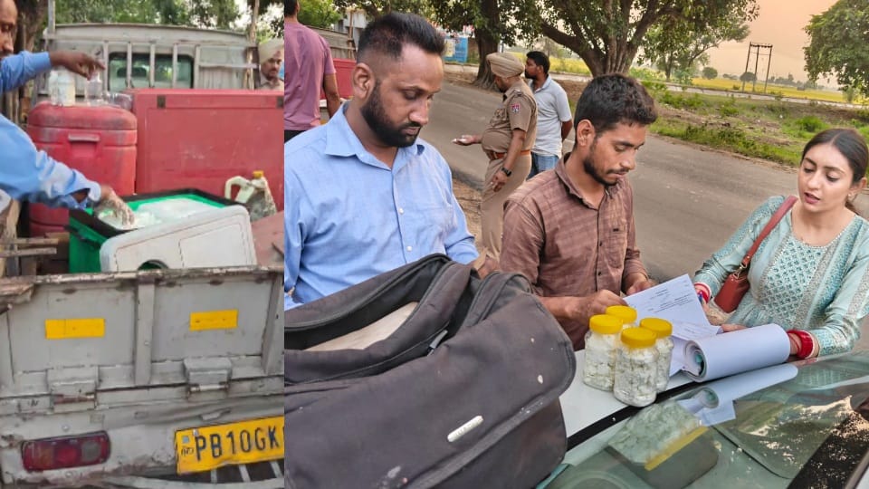 189 kg of paneer seized in Ludhiana supplied to fast food corner and dhabas