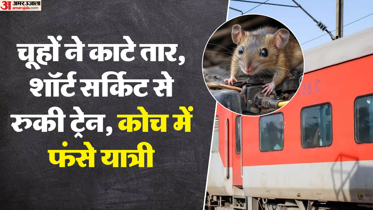 Indore news Delhi-Indore train halted in jungle after smoke from short circuit caused by rats panics passenger