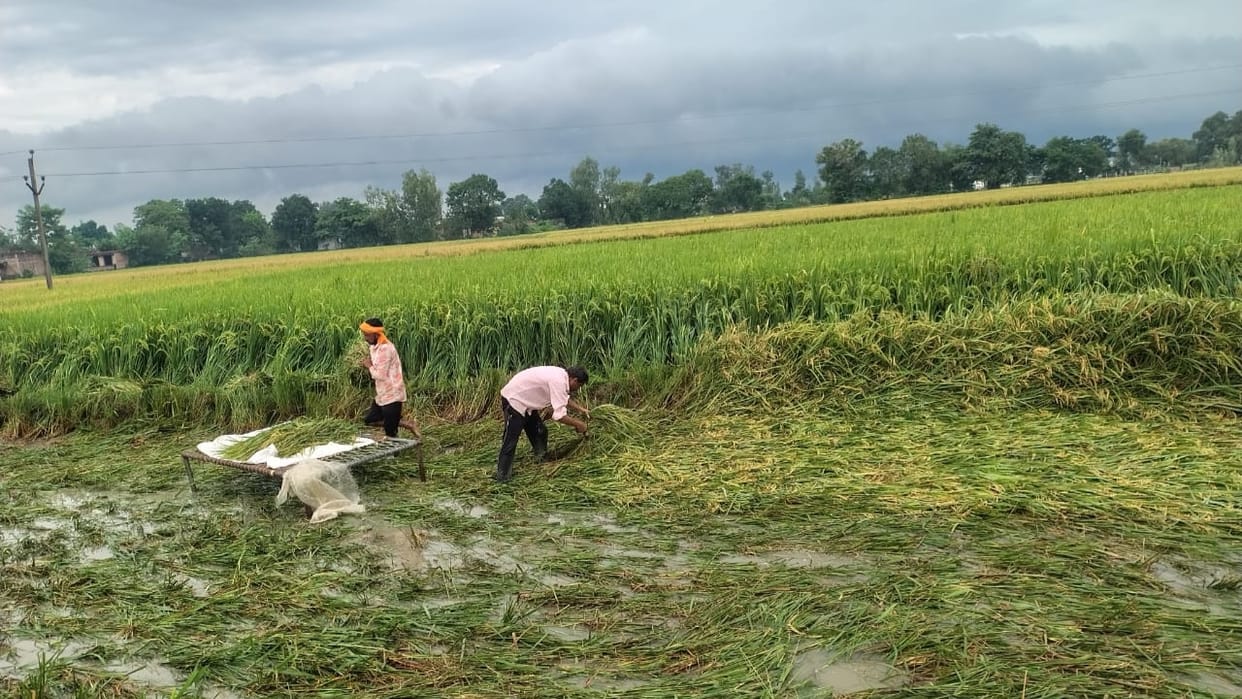 Heavy rain accompanied by strong winds in Bareilly and Pilibhit