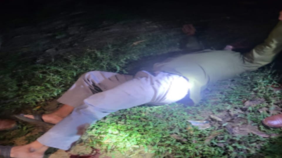 History-sheeter cow slaughter accused injured in encounter near Kharkhoda, shot in the leg