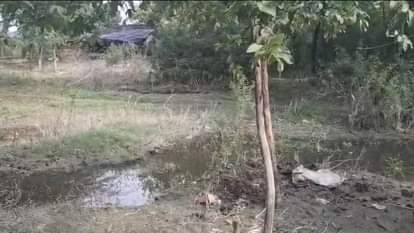 इसी जगह की थी बुजुर्ग मां की हत्या