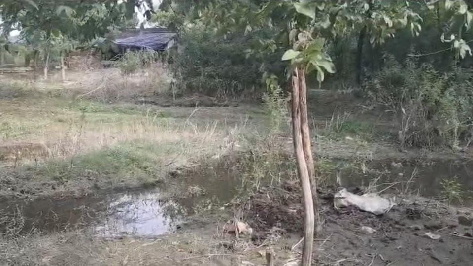 drunken son drowned his mother in floodwaters In Hardoi man beats grandmother to death with stick Hamirpur