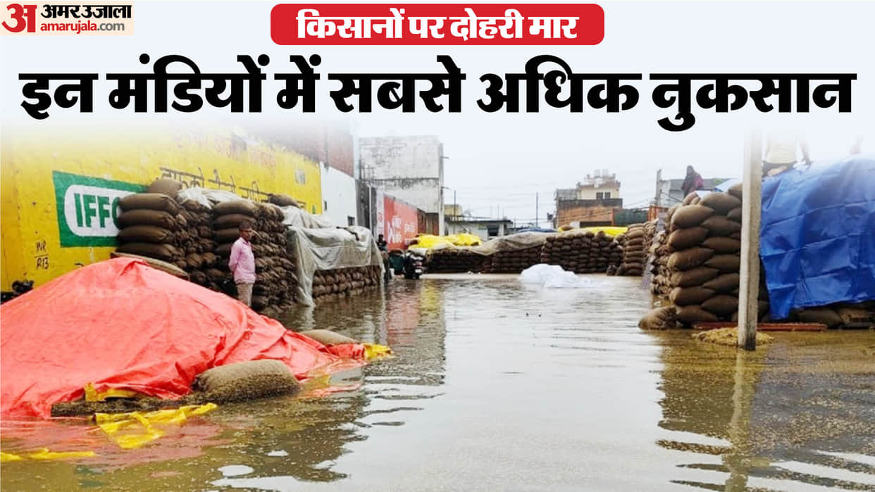 Haryana Weather Forecast Crops Damaged due to Heavy Rainfall IMD Alert for Rain News in Hindi