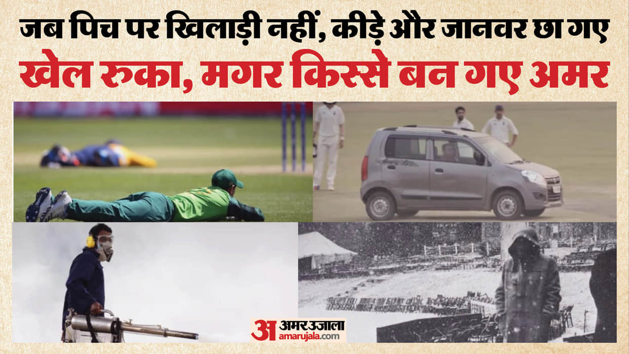When Termites, Bees and Toasts Stopped Cricket: IND vs PAK Match Joins List of Bizarre Interruptions