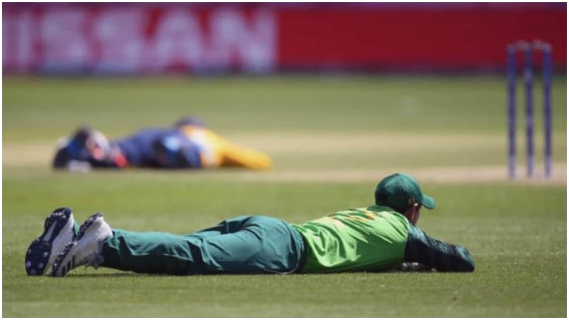 When Termites, Bees and Toasts Stopped Cricket: IND vs PAK Match Joins List of Bizarre Interruptions