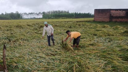 Heavy rain accompanied by strong winds in Bareilly and Pilibhit