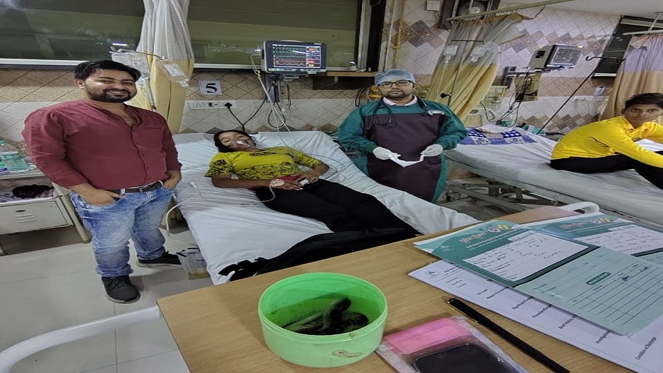 snake bite in firozabad:  family captured snake in box and reach hospital with girl