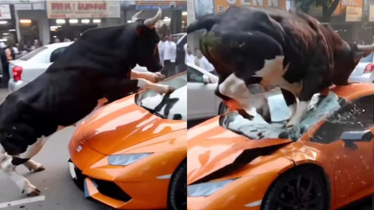 Bull crushes Lamborghini car on the road leaving onlookers stunned AI Video goes Viral on Internet