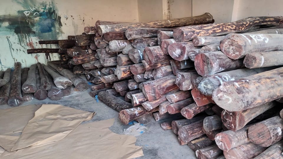 STF seizes 10 tonnes of red sandalwood, arrests two