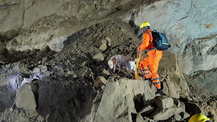 Accident in Bilaspur of Himachal during heavy rains Rocks fell on bus from a mountain many dead one missing