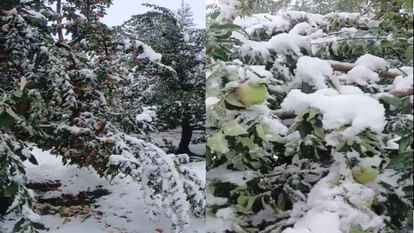 Himachal Weather: हिमाचल प्रदेश में रविवार की रात सीजन की सबसे ठंडी, 16 नवंबर तक साफ रहेगा मौसम Himachal Weather: हिमाचल प्रदेश में रविवार की रात सीजन की सबसे ठंडी, 16 नवंबर तक साफ रहेगा मौसम