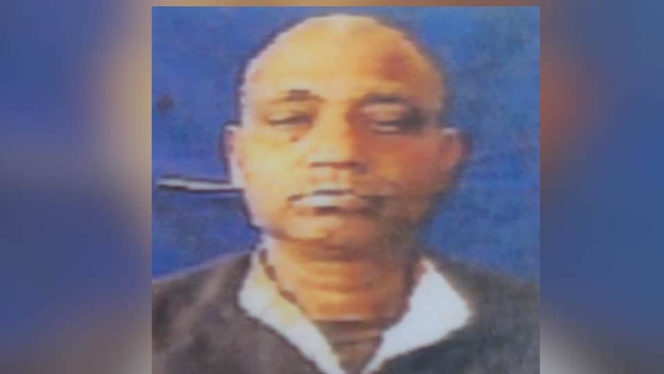 Baghpat: The bull attacked the bus driver, inserted its horns into his stomach, died painfully in the hospital