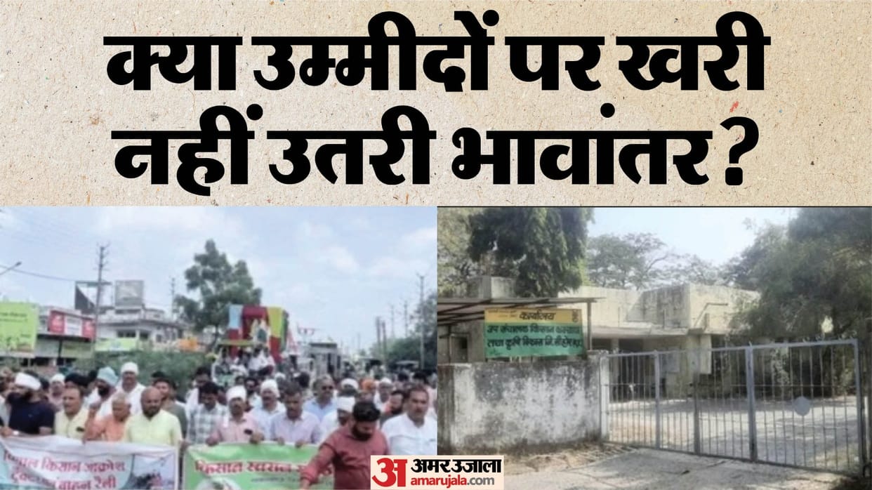 Soybean Farmers Disheartened: Low Mandi Rates and Doubt Over Bhavantar Scheme