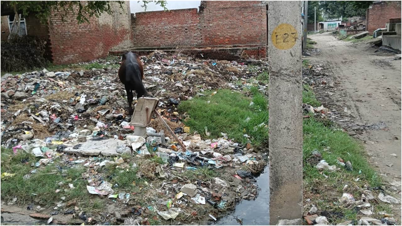 Seven people died of fever in Rasiyakhanpur Village Pilibhit