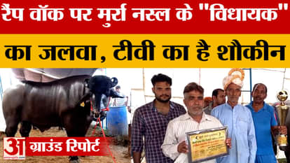 Meerut: Murrah breed "MLA" becomes the centre of attraction in the farmers' fair, worth crores