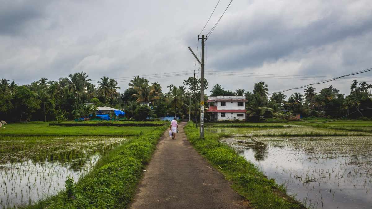 jharkhand monsoon 2025 heavy rain flood damage displacement