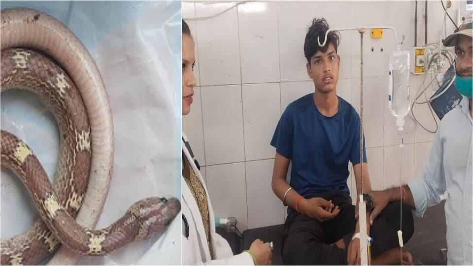 family brought snake along with teenager to the hospital, causing panic