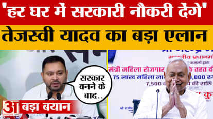 Tejashwi Yadav: 'We will provide government jobs in every household', Tejashwi Yadav's big announcement |Bihar