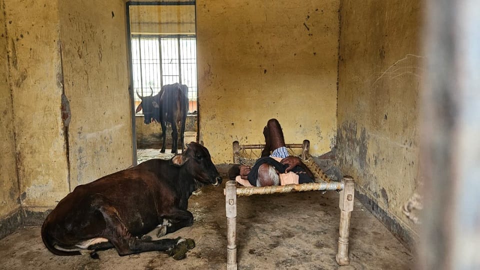 Condition of Primary Health Center of Harnot Bhojpur