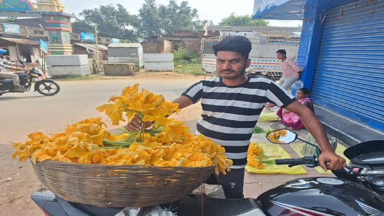 Chhattisgarh: स्वाद और सेहत से भरपूर है कोहड़ा का फूल, रामानुजगंज बाजार में बढ़ी मांग, जानें खासियत