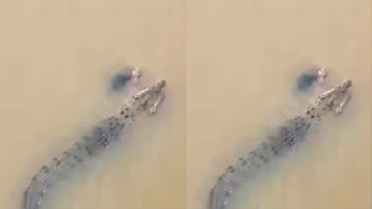A woman was bathing in river when a crocodile came grabbed her leg took her into the deep water in its jaws