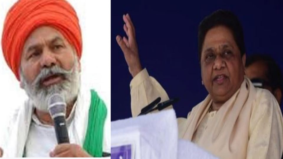 Mayawati's show of strength benefits BJP harms opposition farmer leader makes a big statement