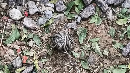 Kanpur: A middle-aged man's fingers were blown off in an explosion while making a bomb