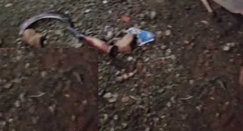 Hardoi Murder Son brutally murders mother by ripping her stomach with a sickle in domestic dispute