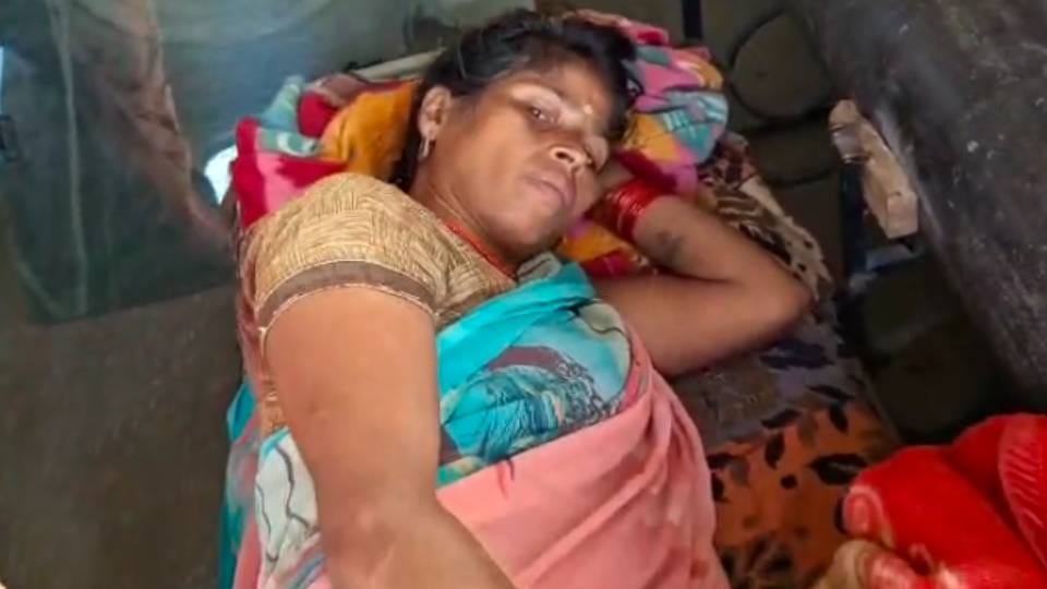 woman mistook cub for kitten and attacked by leopard In Bahraich Her condition critical