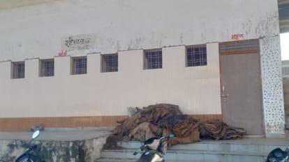 Jhansi: Chaos prevails in the exclusive Bhojla Mandi, rats have hollowed out the floors of shops.