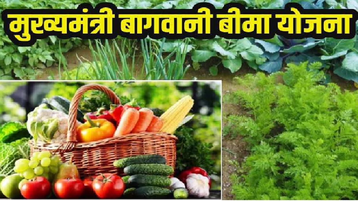 advantage of Chief Minister Horticulture Insurance Scheme in Haryana, 46 vegetable fruit-spice crops covered
