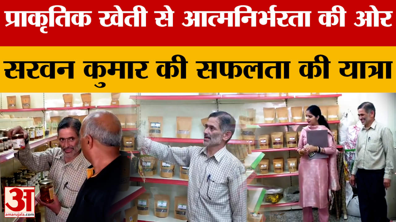 Mandi News: प्राकृतिक खेती से आत्मनिर्भरता की ओर- सरवन कुमार की सफलता की यात्रा