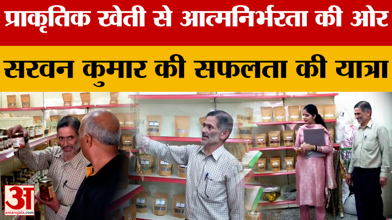 Mandi News: प्राकृतिक खेती से आत्मनिर्भरता की ओर- सरवन कुमार की सफलता की यात्रा