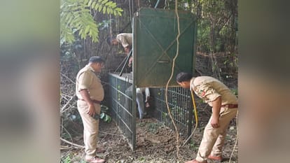 Leopard created havoc in HRI campus throughout the night, Forest Department's cage remained empty