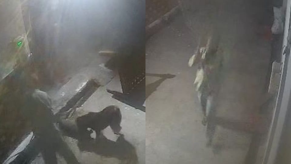 Beating dog to death with stick in agra