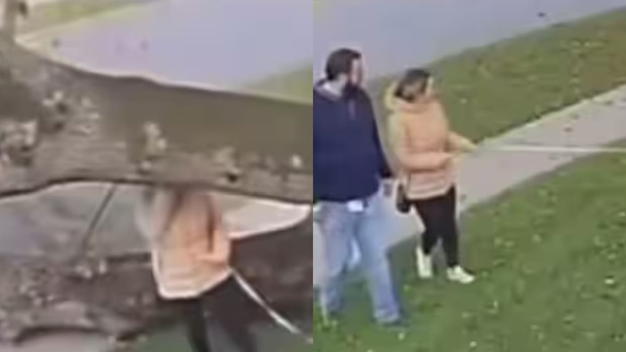 Girl suffered a minor head injury as the tree suddenly fells down video goes viral on Internet