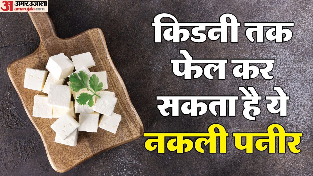 550 kg of fake cheese seized in Noida know why synthetic cheese is a slow poison