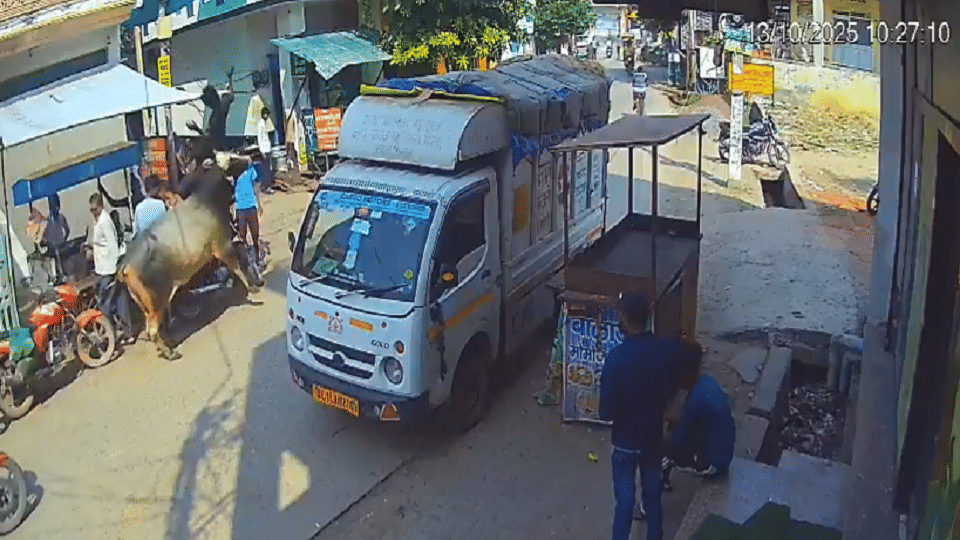 Bull creates panic in Aligarh city